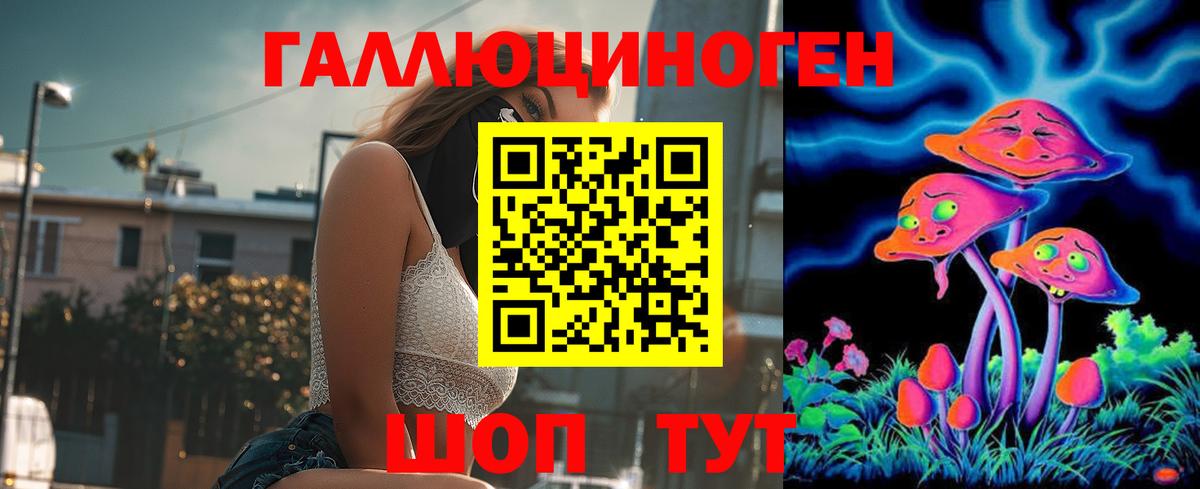 Псилоцибиновые грибы Psilocybe Воркута